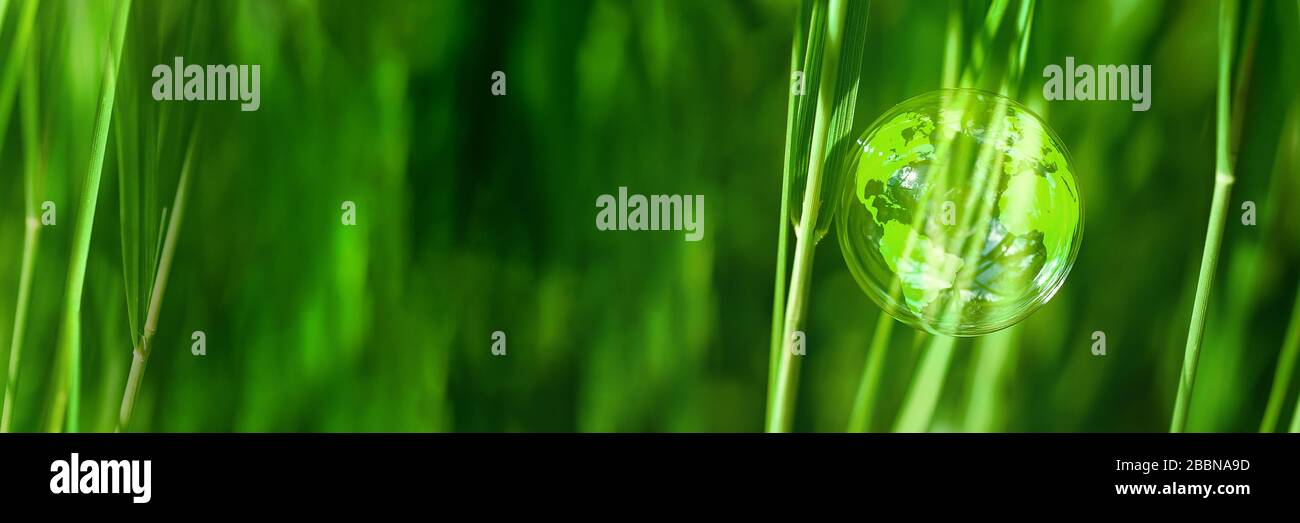 Soap ball, globe in the grass concept for environment and conservation Stock Photo