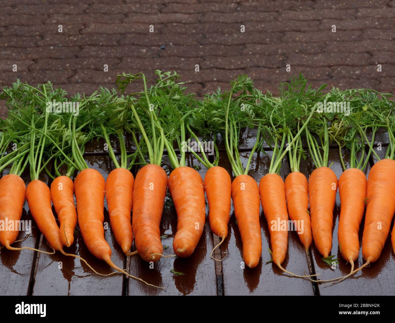 organic carrots bunch o table closeup horizontal background Stock Photo