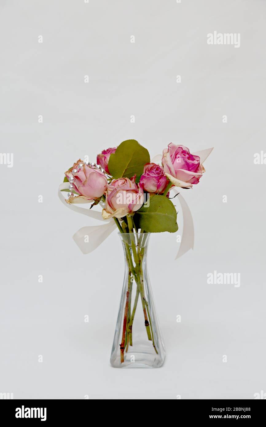 Silver And Pink Roses Beautiful pink roses with silver pearls and ribbon on a glass vase with ...