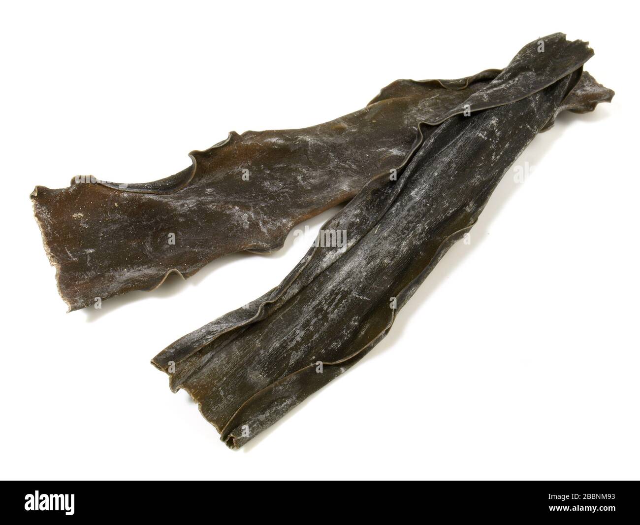 Dried Kombu - Seaweed isoladet on white background Stock Photo