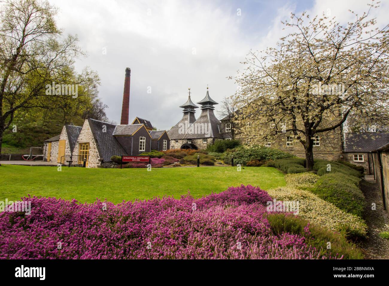 Strathisla Distillery Buildings during Spring on a sunlit morning, Keith, Scotland Stock Photo