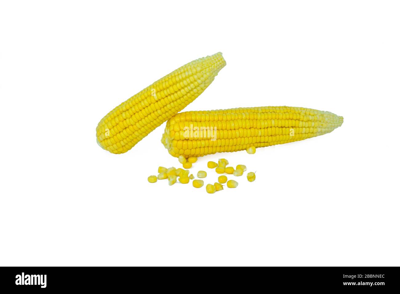Small corn plant Cut Out Stock Images & Pictures - Alamy