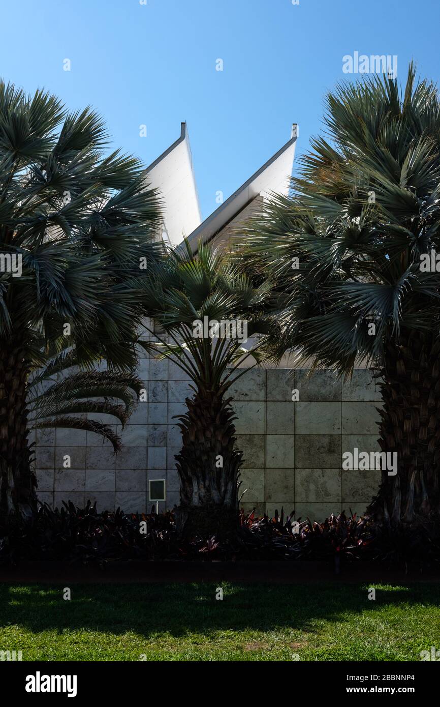 A strong contrast between the man made roof structure and the palm