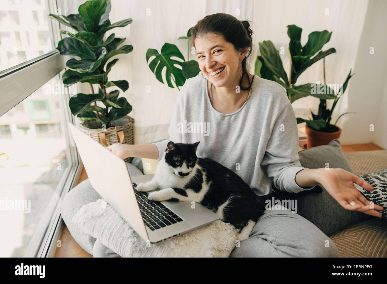 Cute cat helping owner during quarantine, loyal companion. Casual girl ...