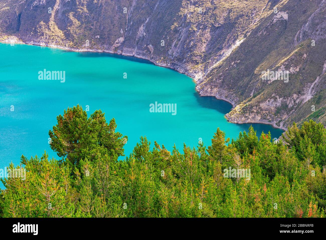 Turquoise waters of the Quilotoa crater lake with pine trees in the foreground, South of Quito, Ecuador. Stock Photo