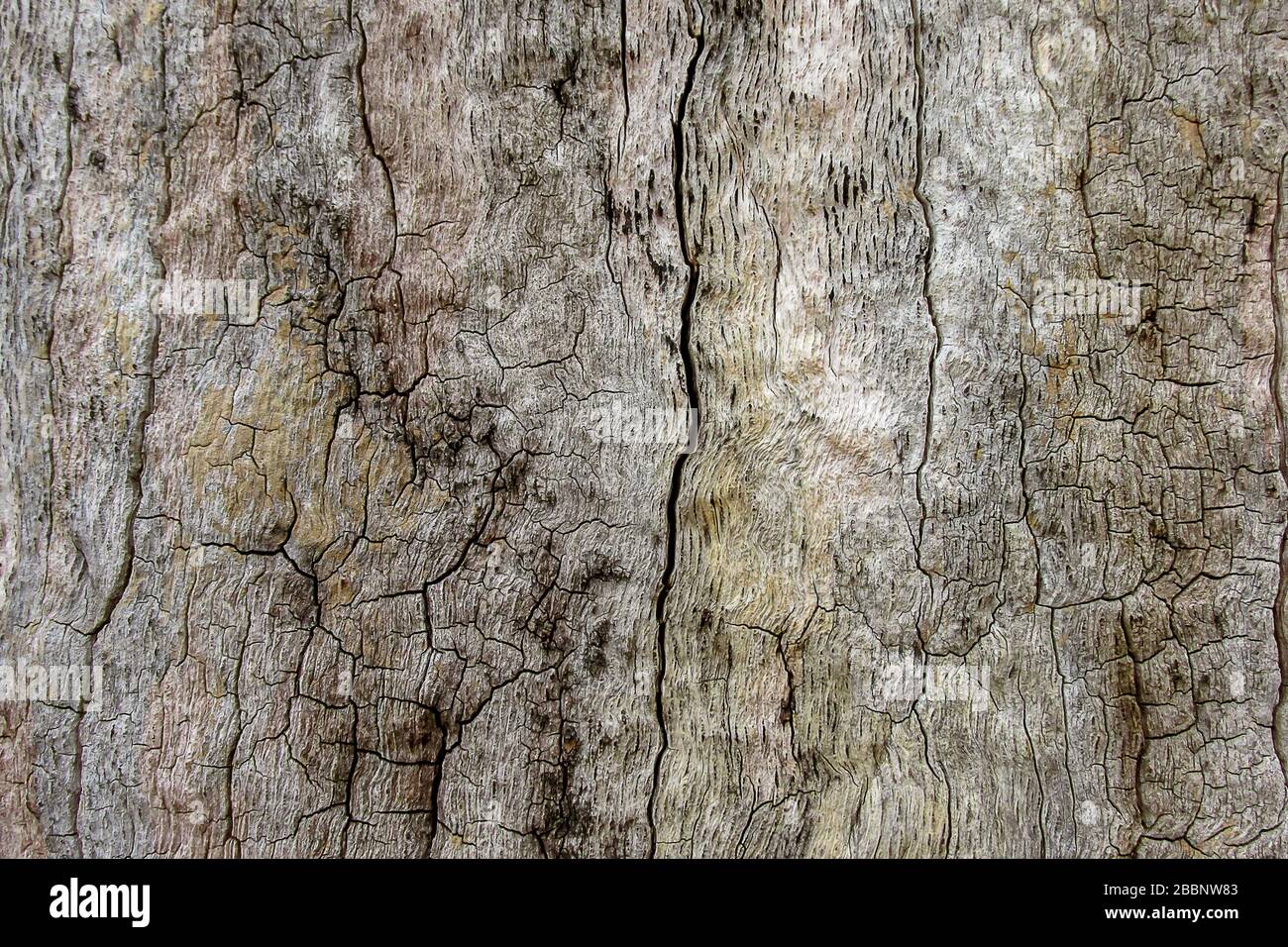 Old Weathered Wood Texture Stock Photo Alamy