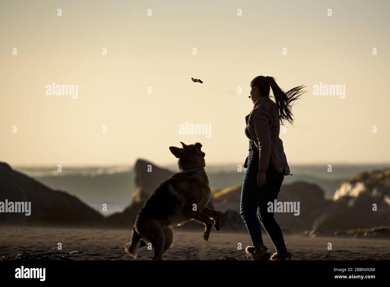 a girl plating with her dog on the beah Stock Photo