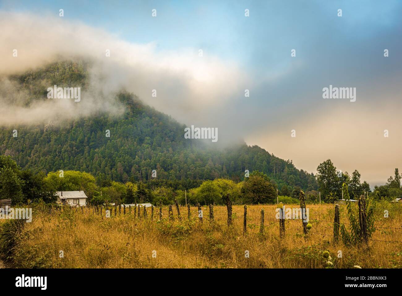 land scape from the lake region in chile Stock Photo