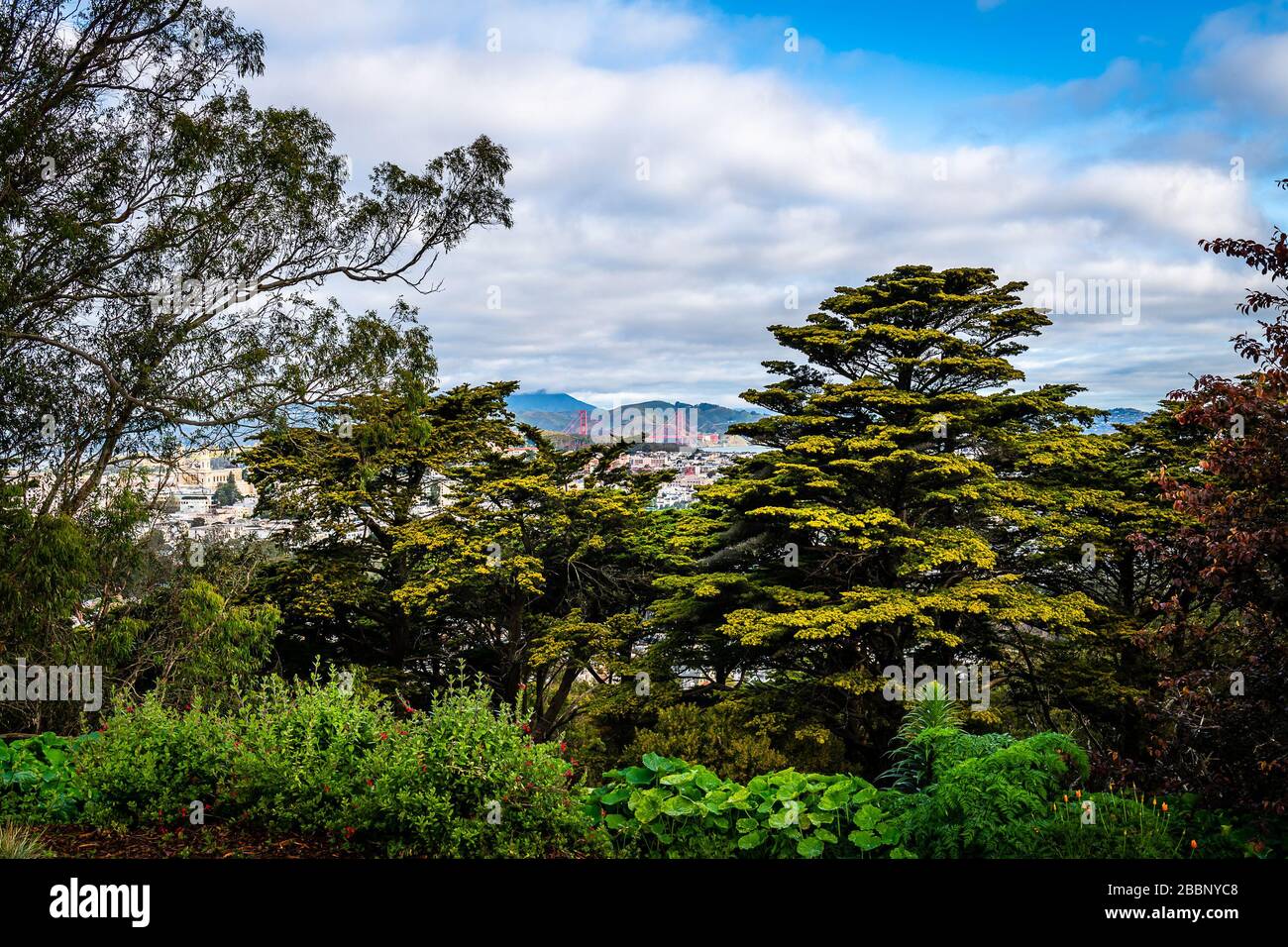 Buena Vista Park Stock Photo Alamy