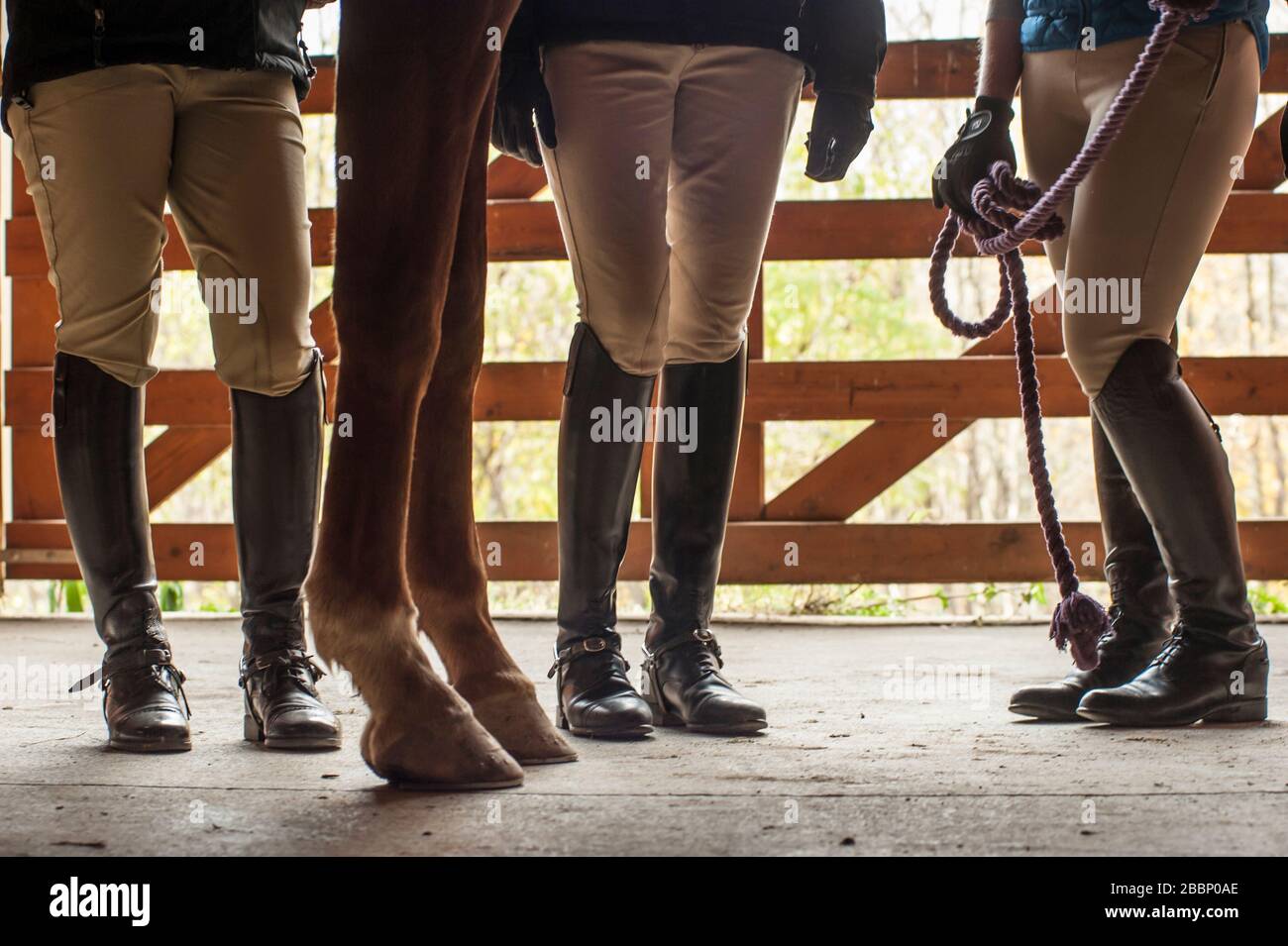 Boots and horse hooves on barn floor Stock Photo