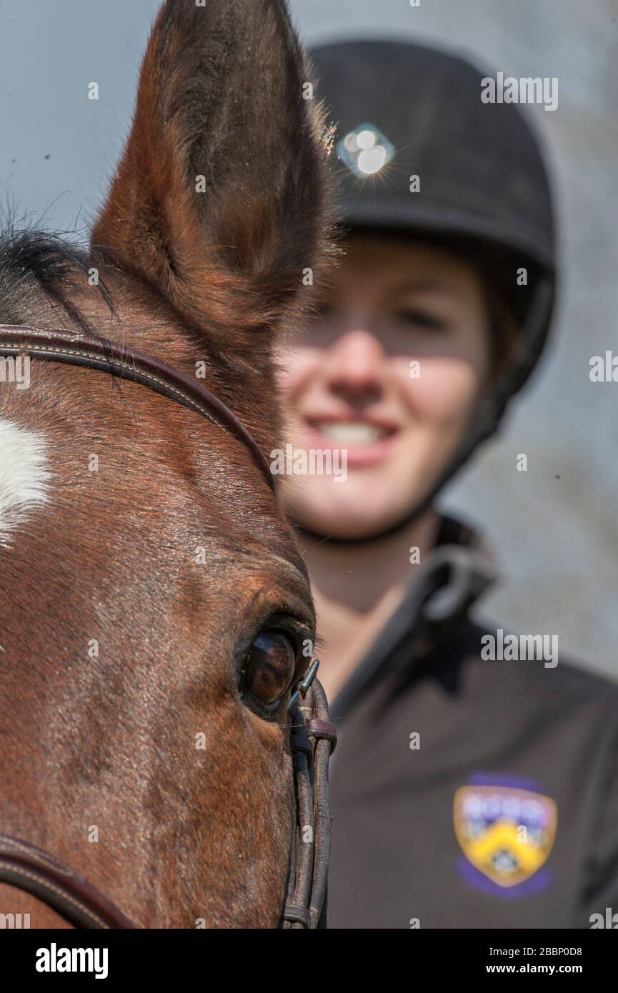 Horse eye and womans face Stock Photo