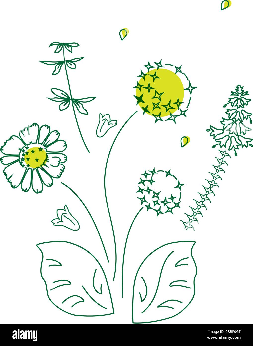 Vector illustration of Flowers, chamomile, bells, wildflowers.Spring summer floral pattern on a white background, poster, cover of the site, web page. Stock Vector