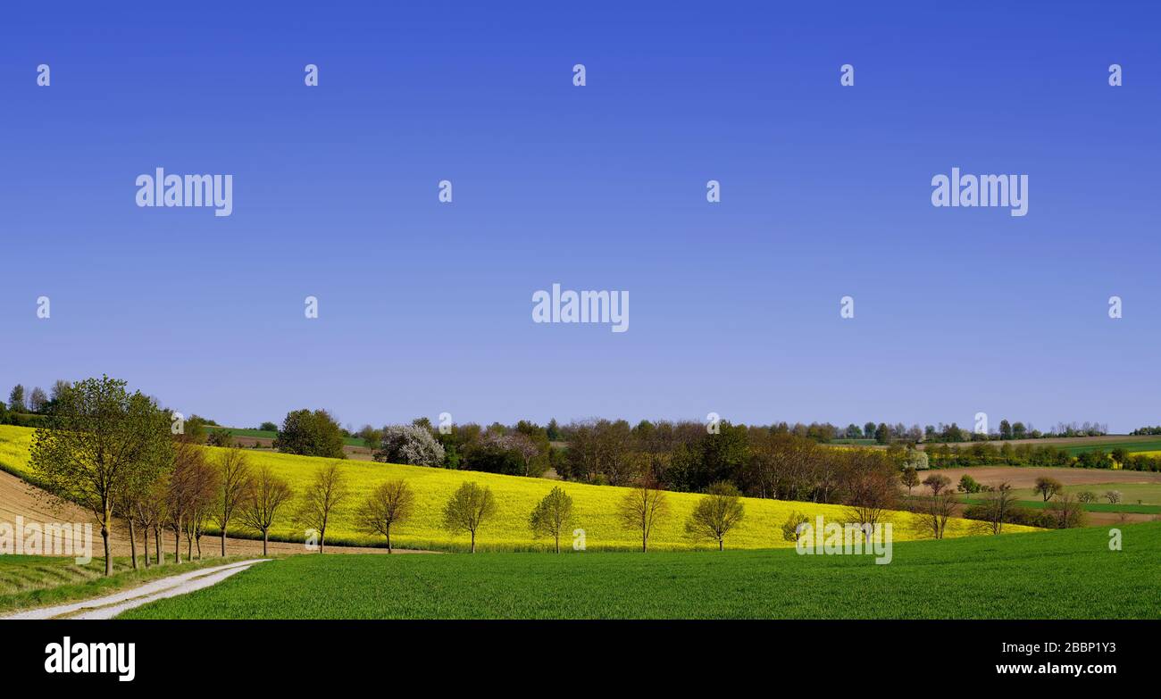 Scenic view of landscape against clear sky Stock Photo