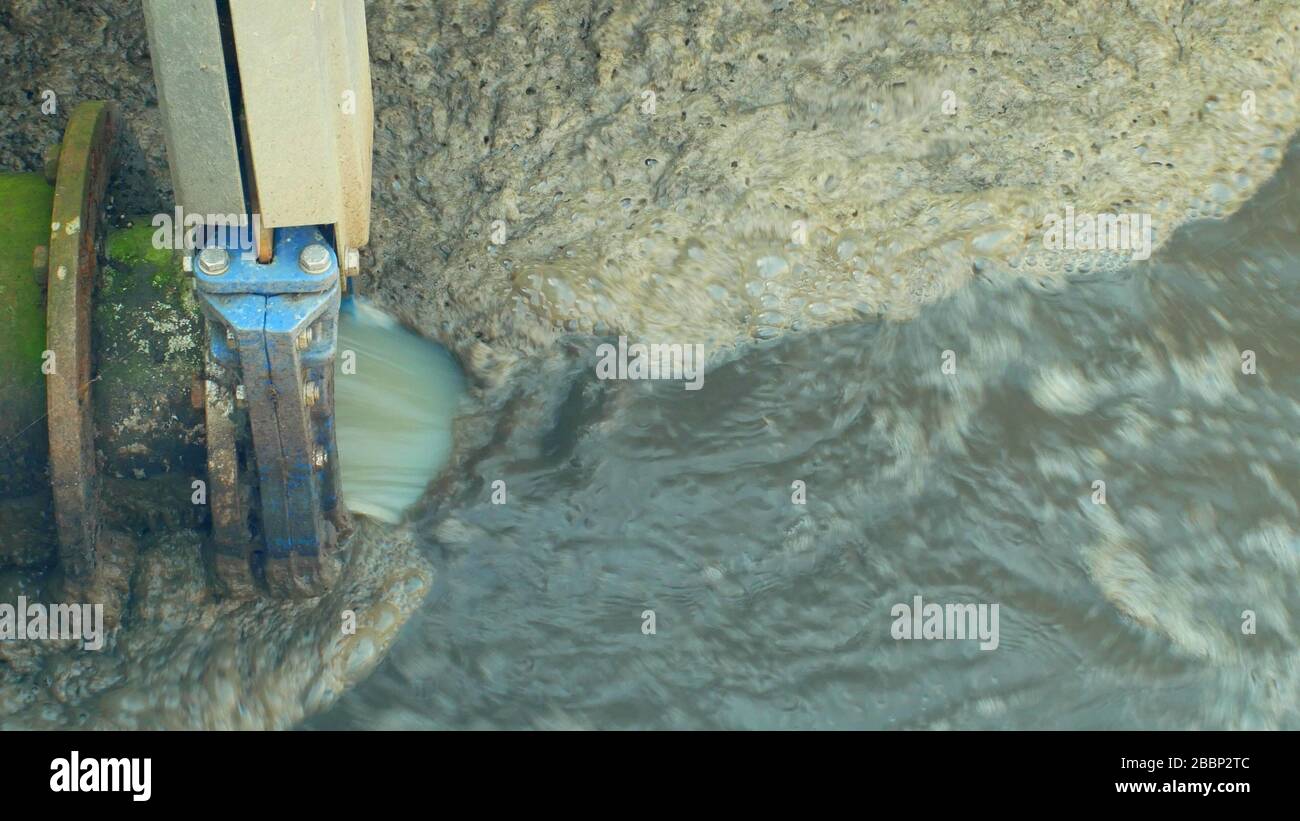 Biological purification of water sewage treatment plant waste water