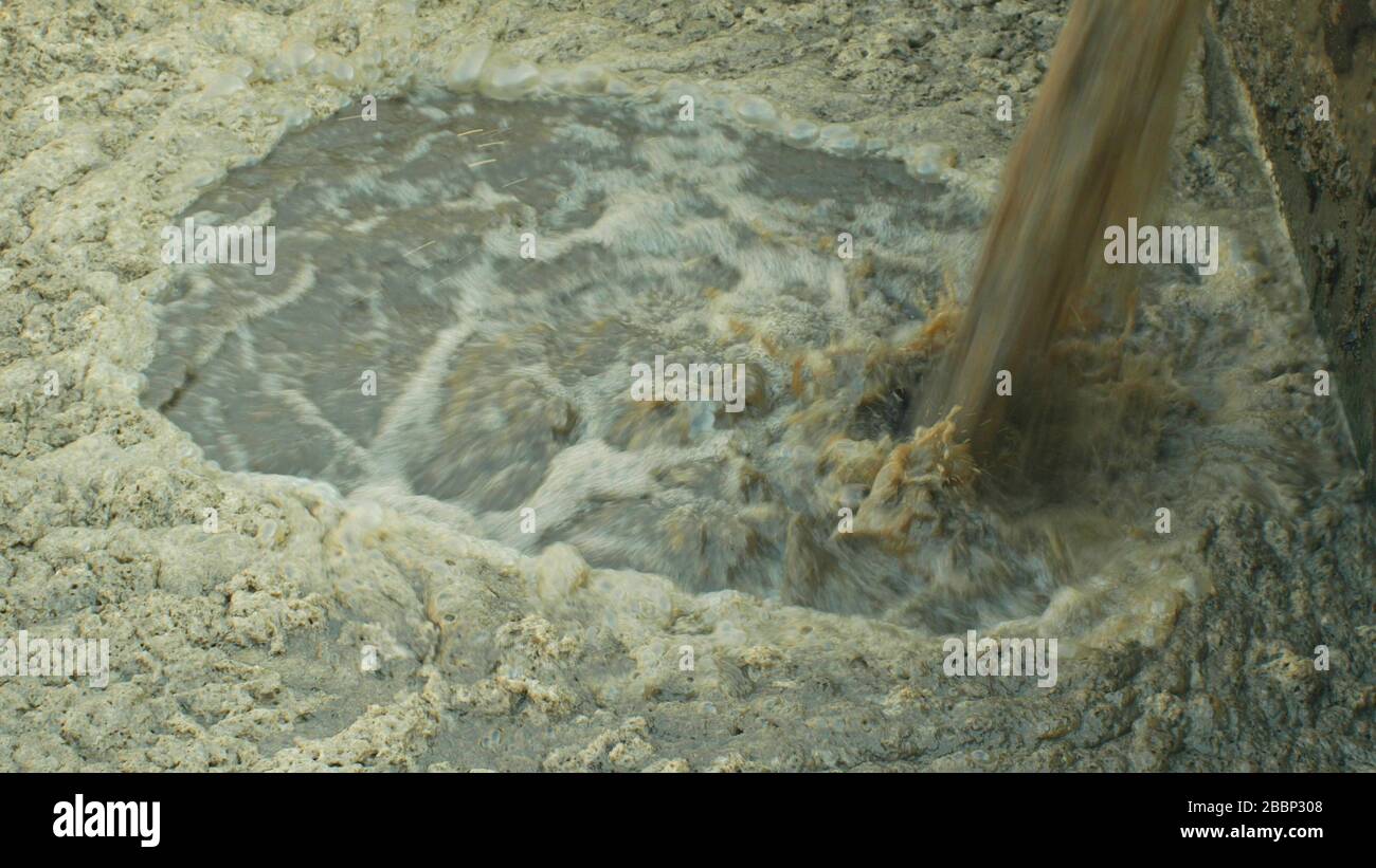 Biological purification of water sewage treatment plant waste water