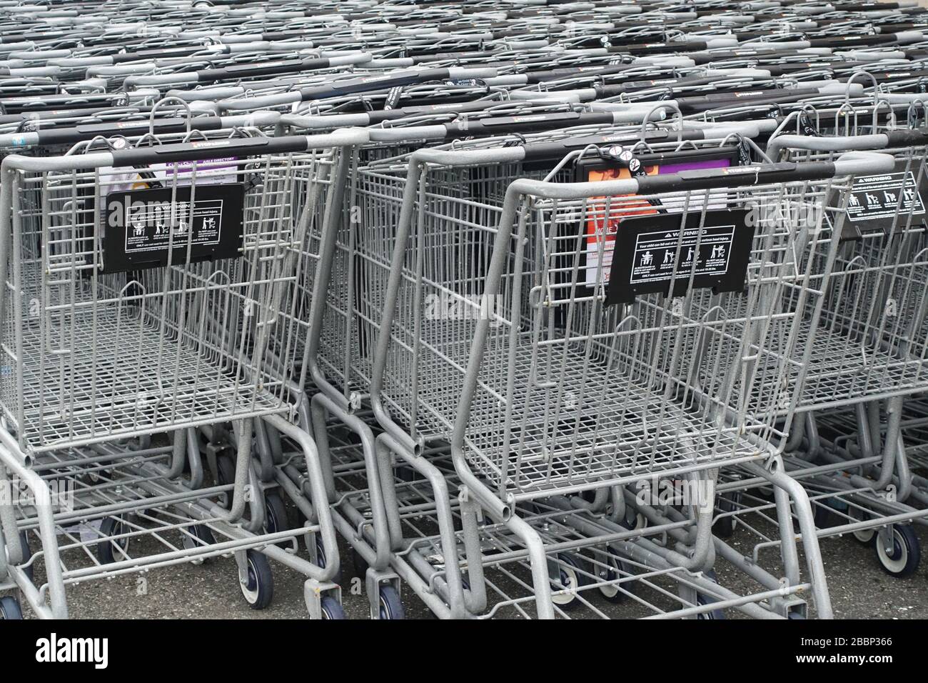 Dozens of empty supermarket shopping carts behind a Stop & Shop in the