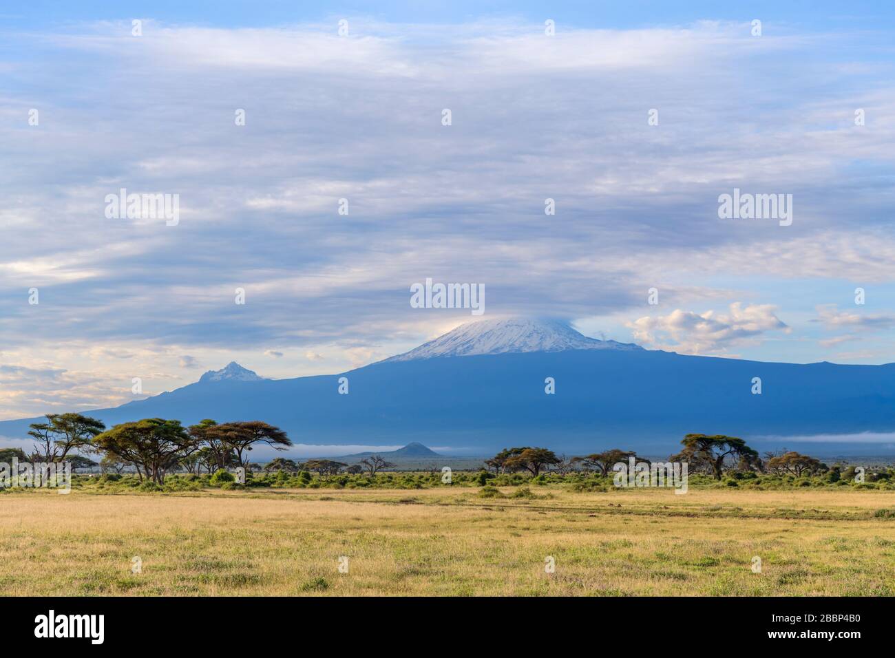 Mount Kilimanjaro behind, Amboseli National Park, Kenya, Africa Stock Photo