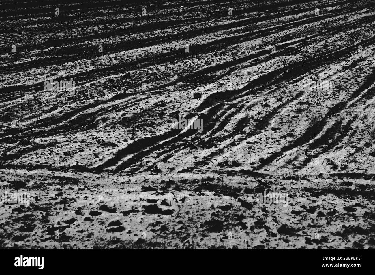 Farmland and land Black and White Stock Photos & Images - Alamy