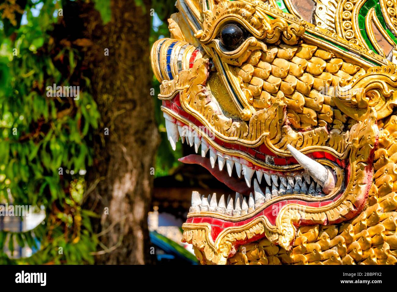 Dragon folklore hi-res stock photography and images - Page 2 Dragon folklore hi-res stock photography and images - Page 2
