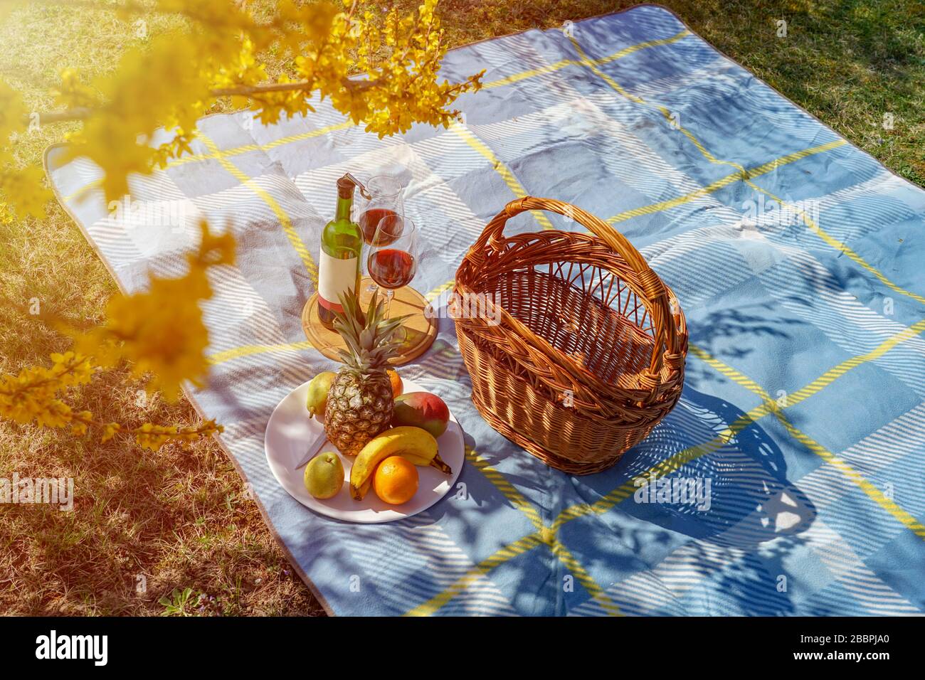 activities at home during isolation have a picnic with wine and fruits in your own garden Stock Photo
