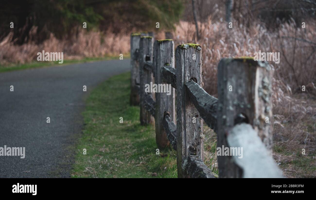 Rail fence posts with moss growing following a cement path in the park at sunset Stock Photo