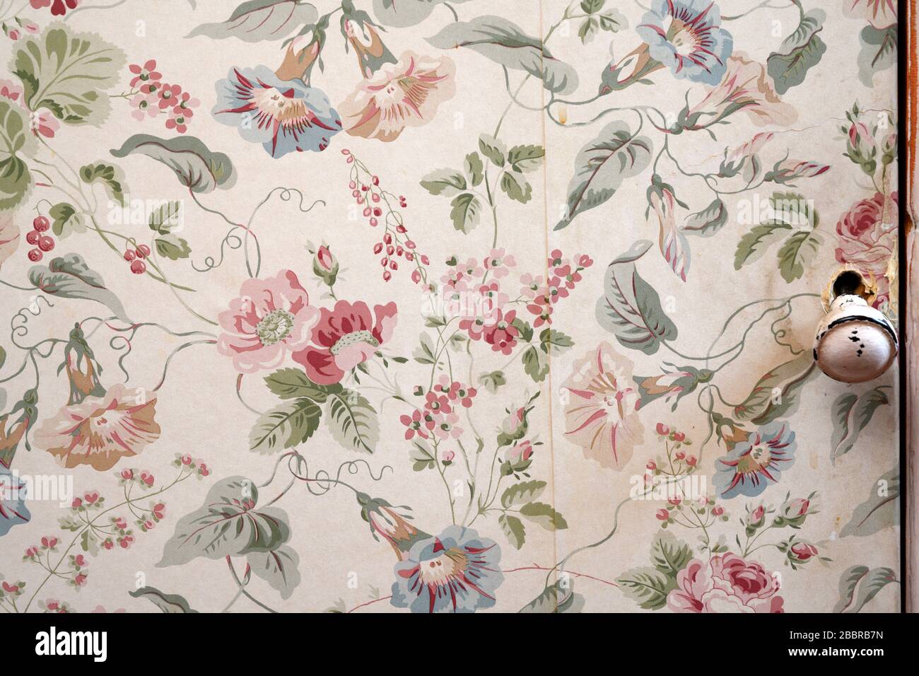 Featured image of post Laura Ashley Wallpaper Usa Use this matt finish paper on a feature wall or go bold with an entire room