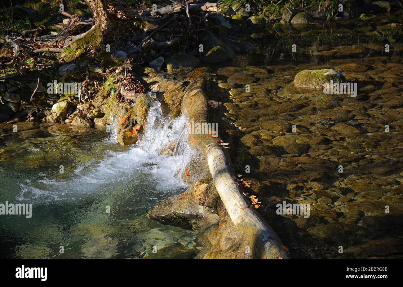 The Kozbanjscek river near Kozbana in Primorska, western Slovenia Stock Photo