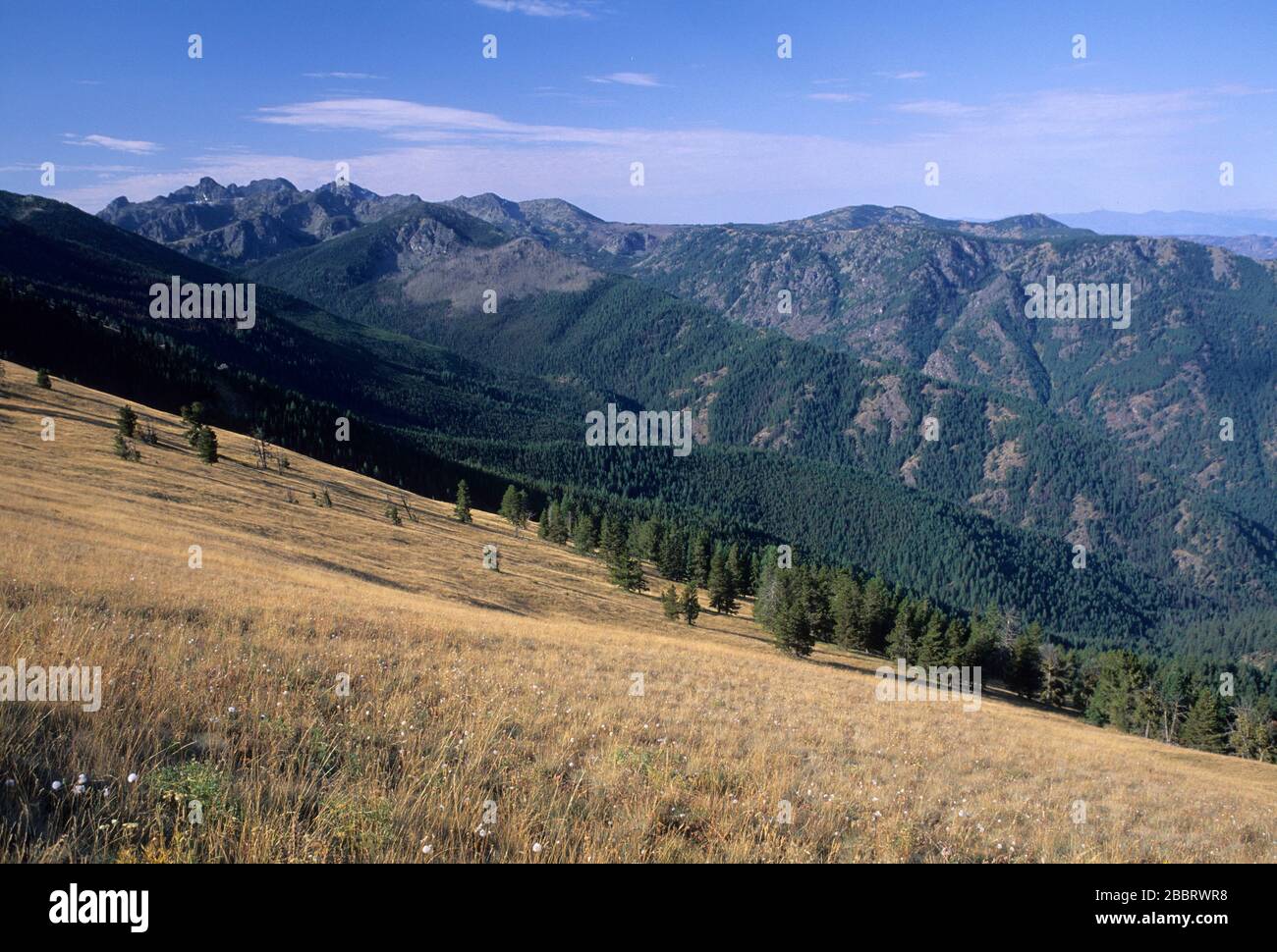 Seven Devils & grassland from Boise Trail north of Heavens Gate, Hells