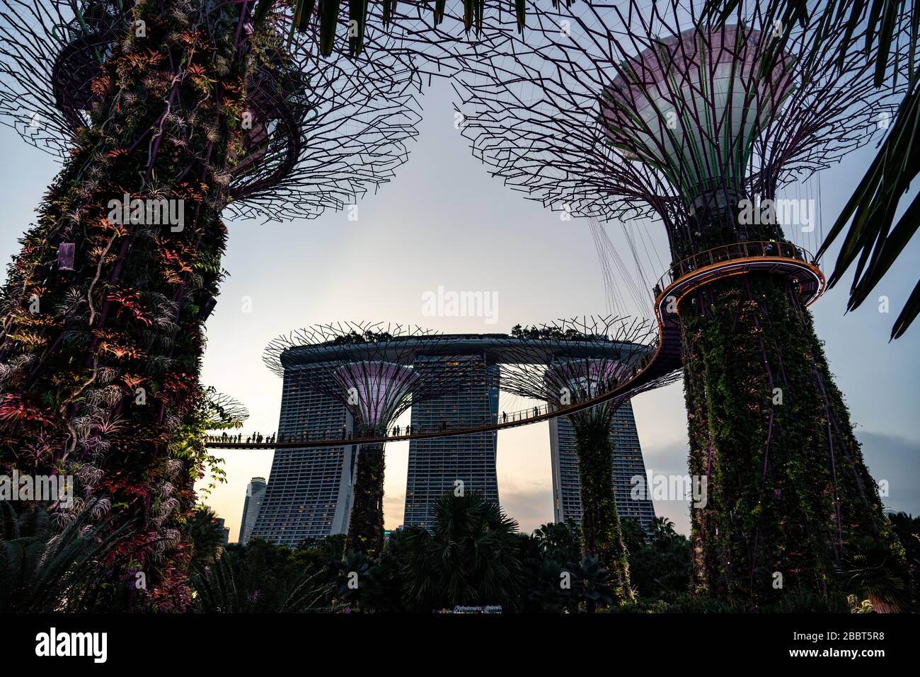 singapore-city-garden-by-the-bay-stock-photo-alamy