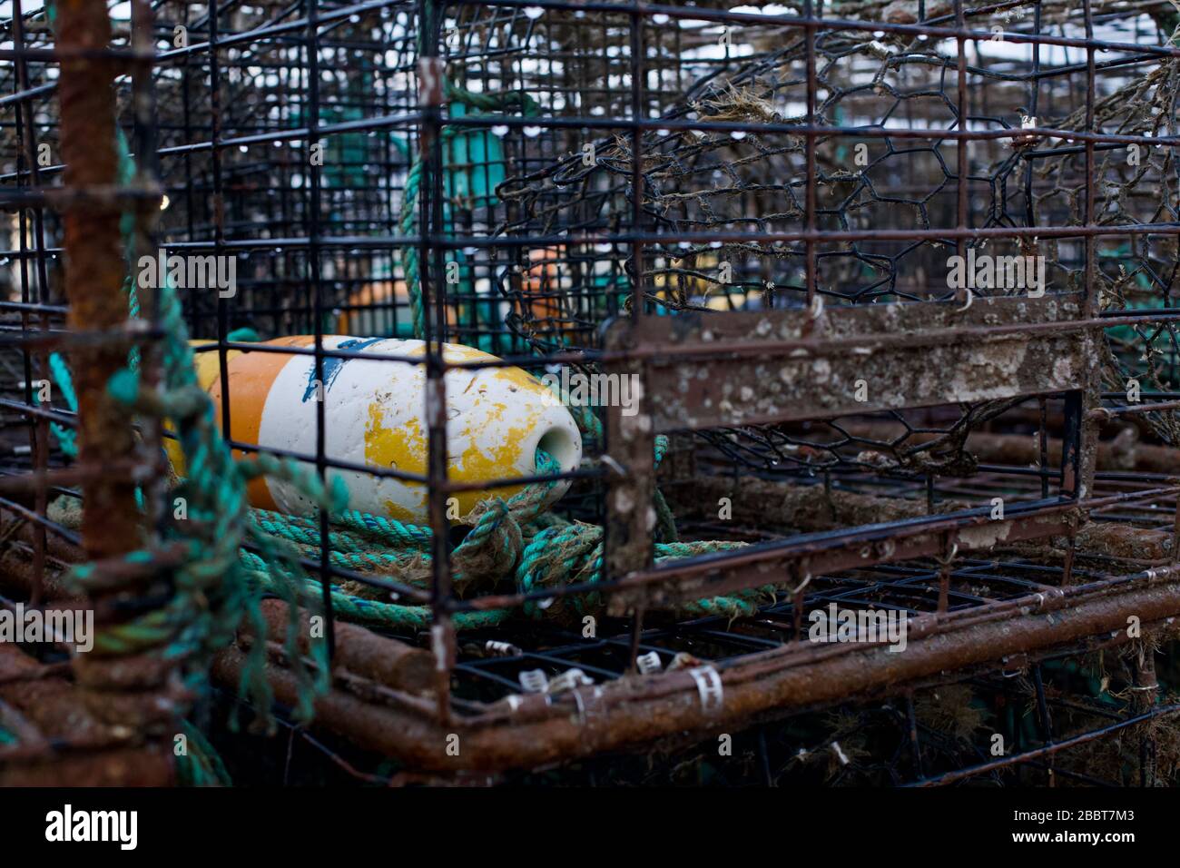 Buoy in crab cage trap Stock Photo - Alamy