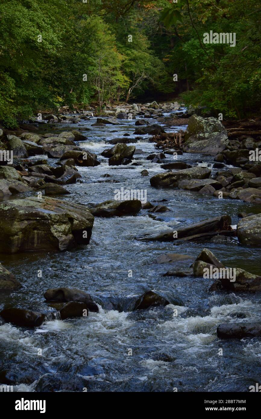 Rock creek park dc hi-res stock photography and images - Alamy