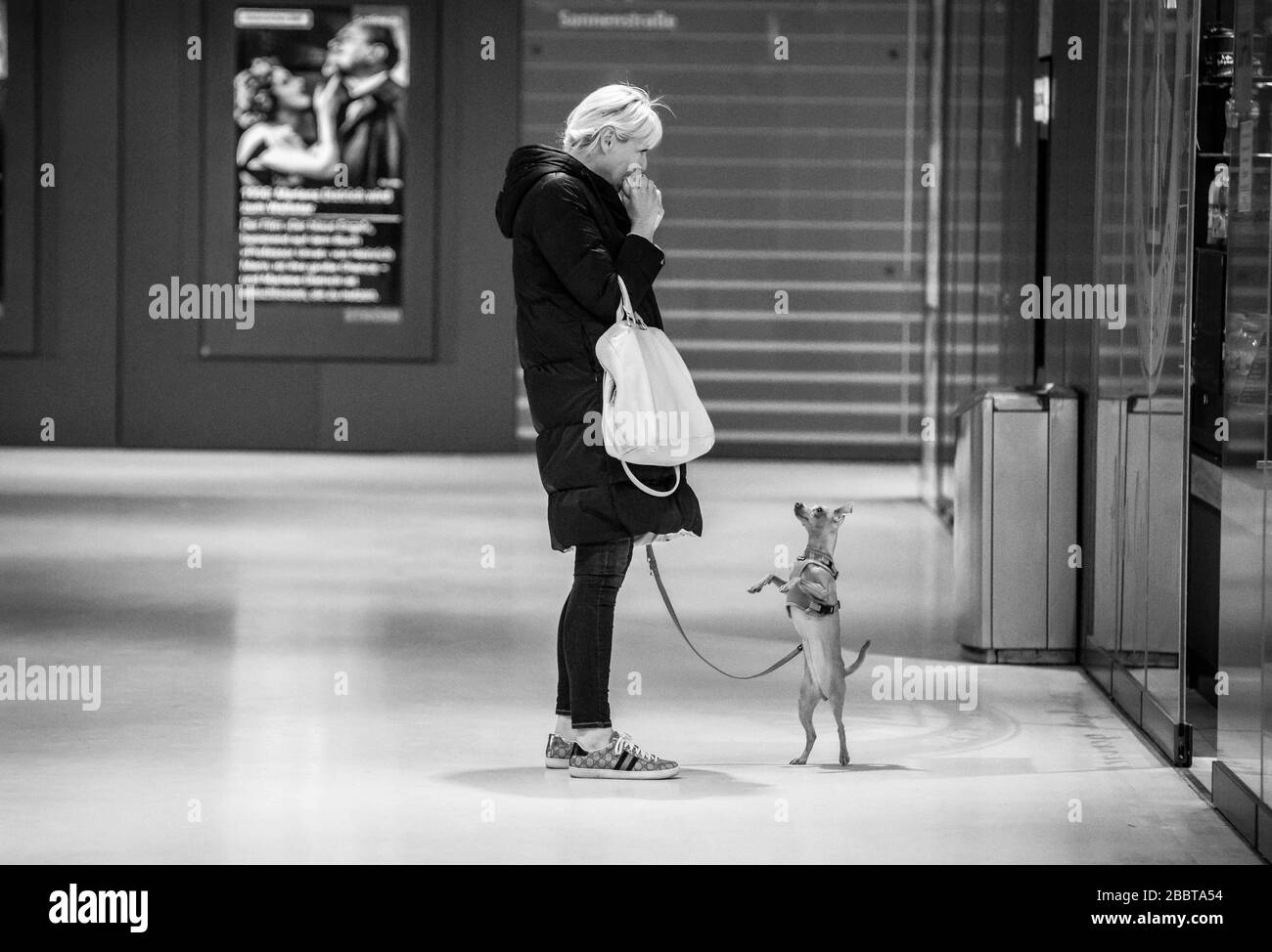 Munich, Bavaria, Germany. 1st Apr, 2020. A dog stands up and begs hoping its owner will give it food. Scenes of normalcy like this are far and few in the era of the Coronavirus lockdowns. Despite being cautiously optimistic regarding the efforts to flatten the curve, Parts of Germany, such as Bavaria, have announced extensions to the daily life restrictions at least until April and with certain portions extending beyond. Credit: Sachelle Babbar/ZUMA Wire/Alamy Live News Stock Photo