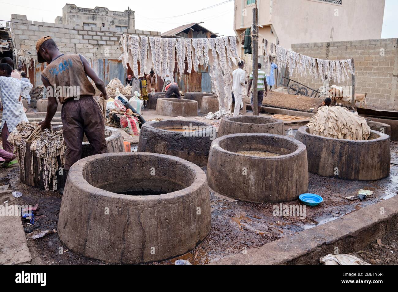 People processing snake skins in a tannery. Stock Photo