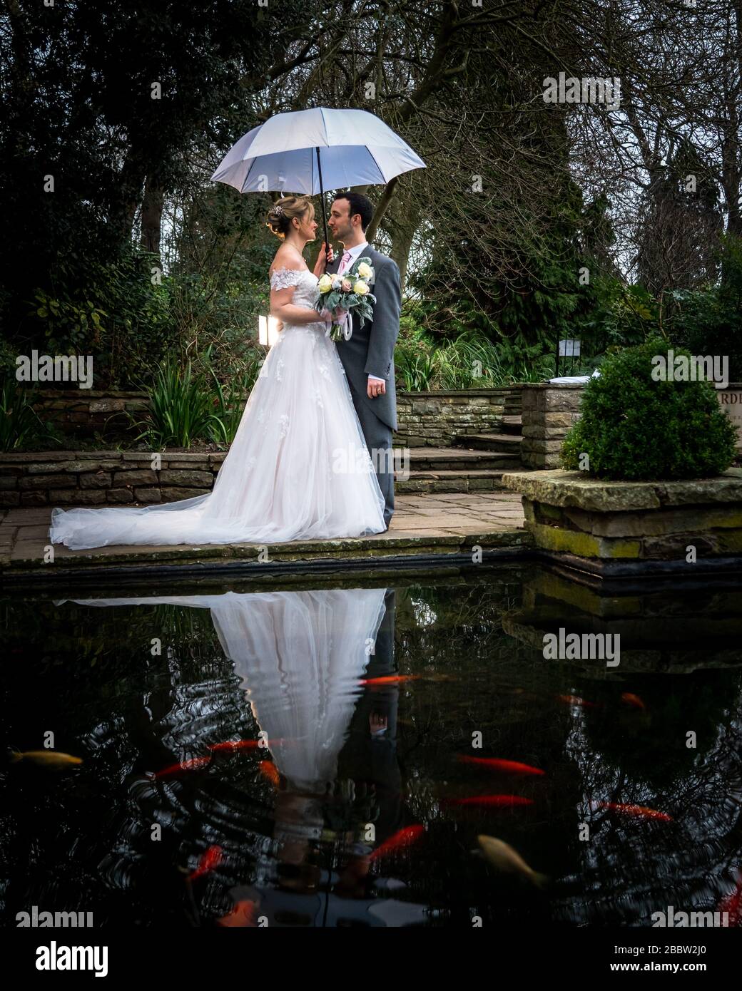 Colchester wedding in Essex UK Stock Photo - Alamy, image size:1040x1390