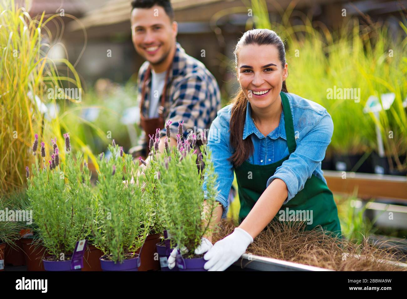 Девушка срезает розу. Девушка сажает цветы. Озеленитель сток. She was working in the garden. Young garden.