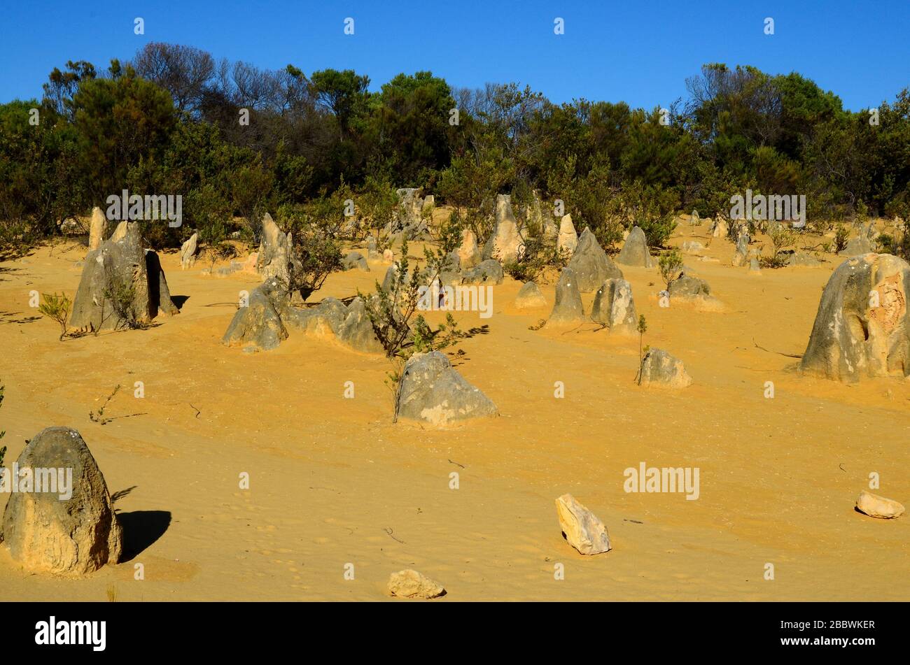 Pinnacles desert within Nambung National Park. Stock Photo