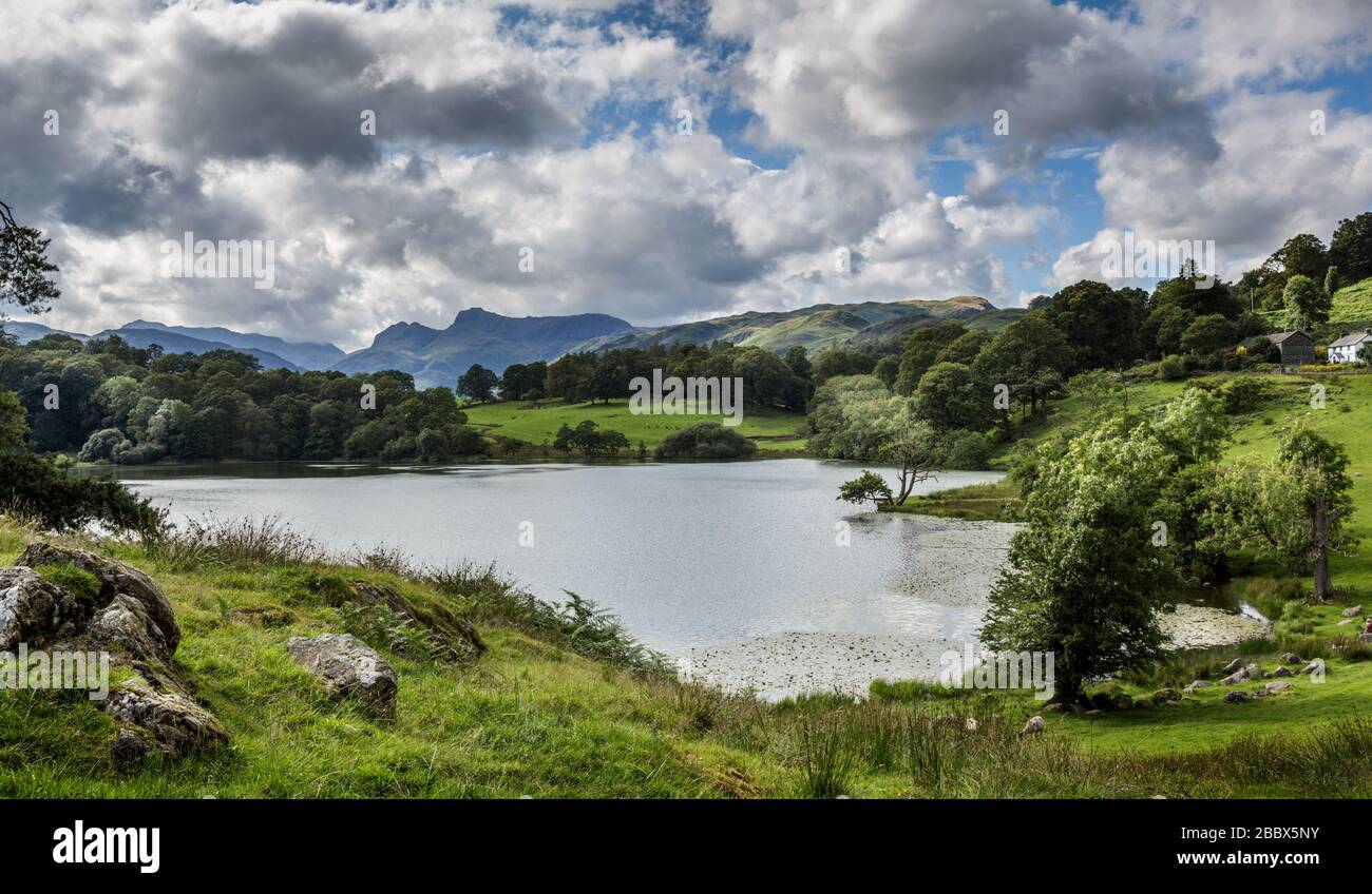 Loughrigg Tarn and Loughrigg Fell in Summer, Lake District National Park, Cumbria, England Stock Photo