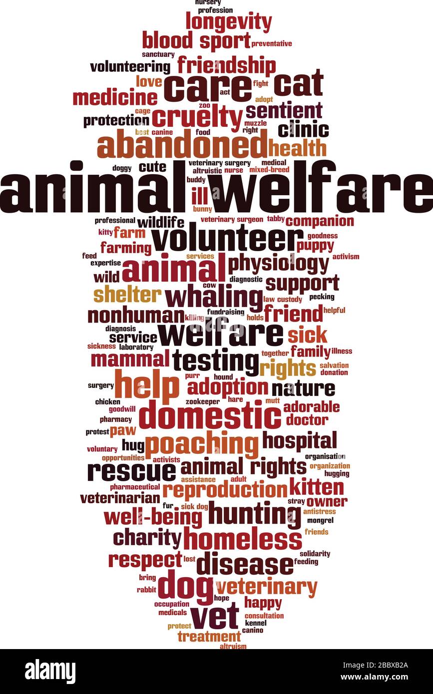 animal-welfare-word-cloud-concept-collage-made-of-words-about-animal