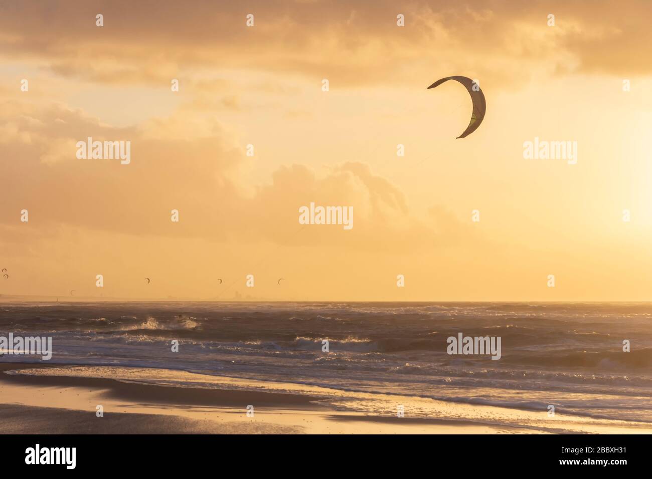 View of the north sea beach on a windy winter day at sunset, people, kitesurfing. Noordwijk, the Netherlands Stock Photo