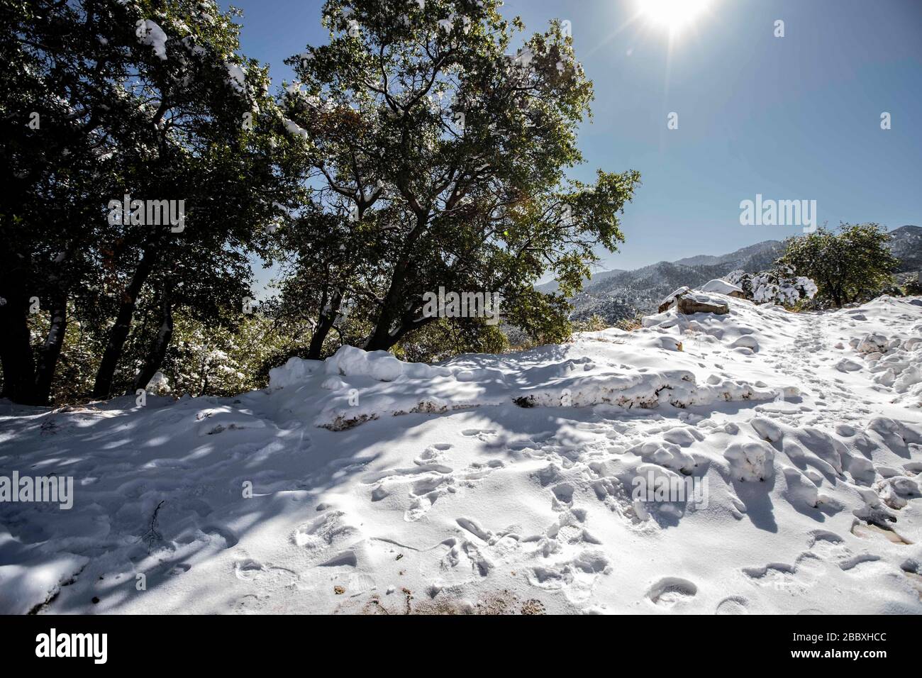 Hojas de paisajes hi-res stock photography and images - Alamy