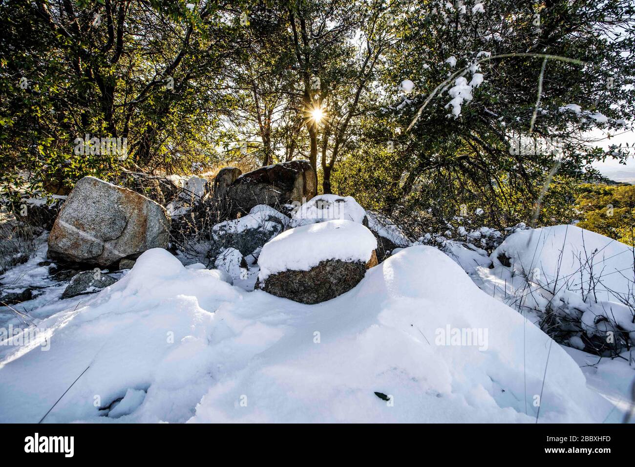 Hojas de paisajes hi-res stock photography and images - Alamy