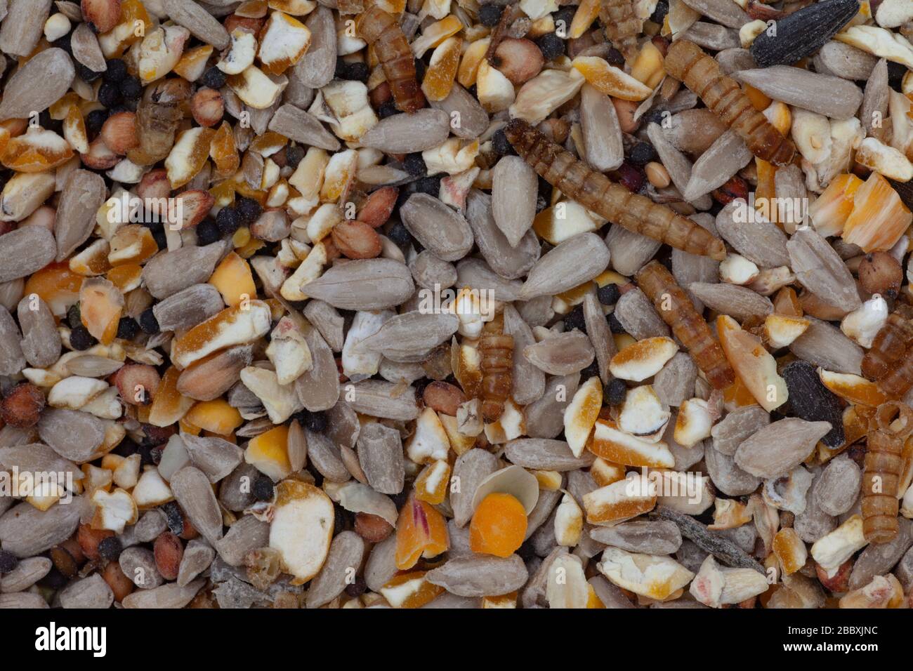Good mix of seed for feeding wild birds. UK Stock Photo
