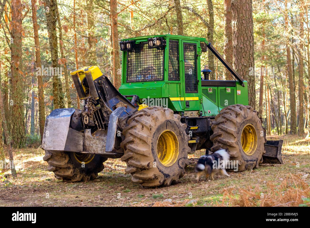 Skidder