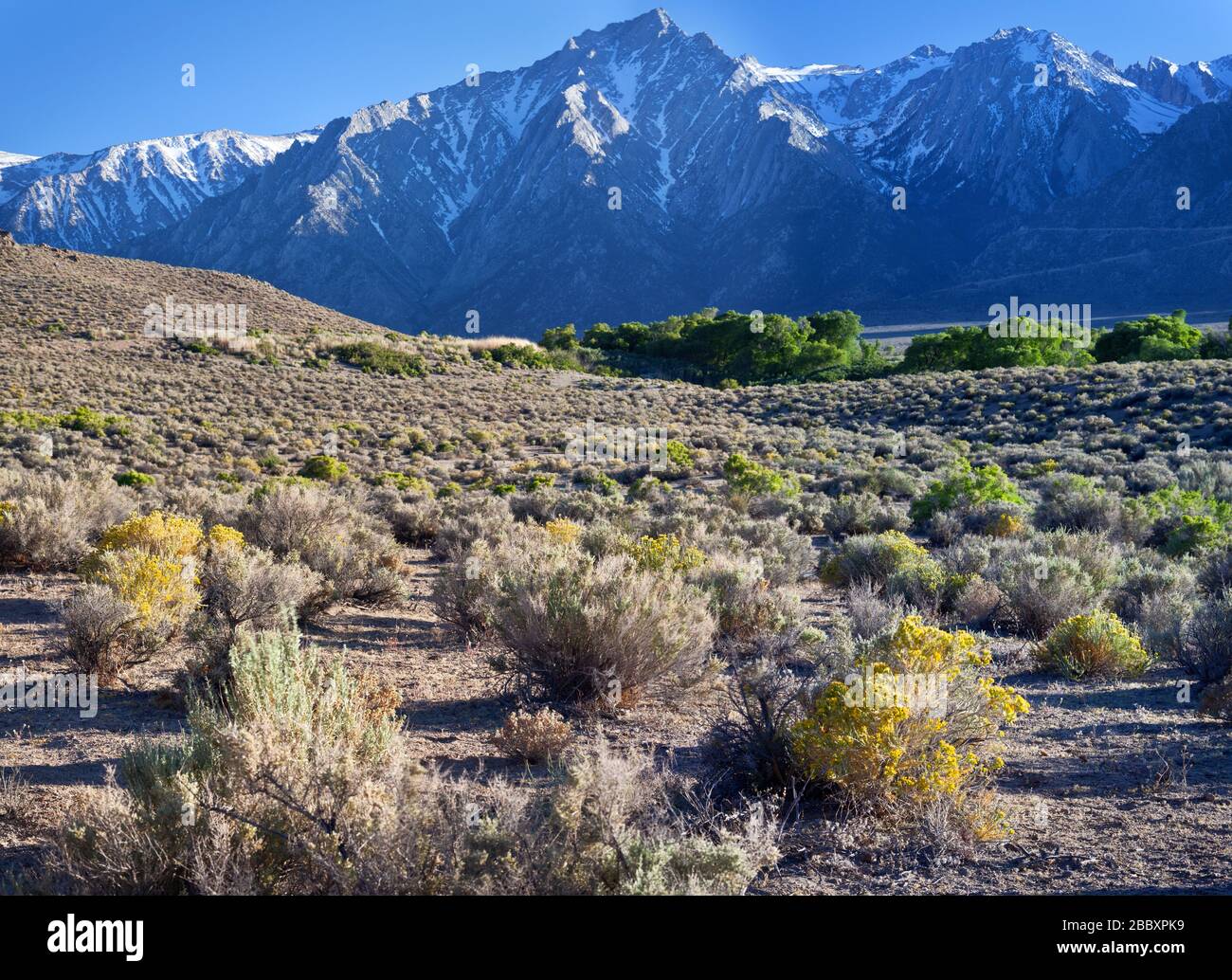 Arid Landscape of the Alabama Hills in California Stock Photo