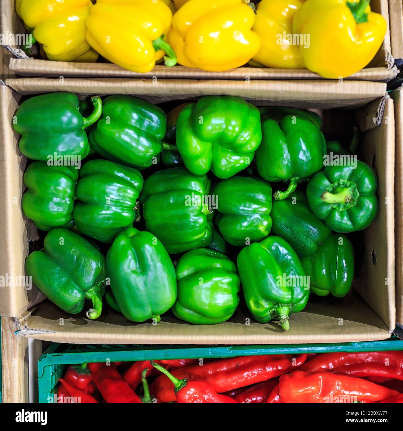 Cardboard boxes with yellow green and red bell peppers in markets Stock ...