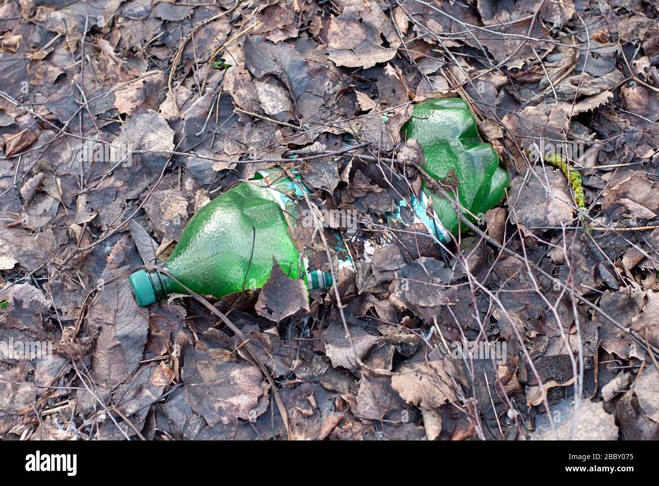 plastic bottle left in spring forest among fallen leaves Stock Photo