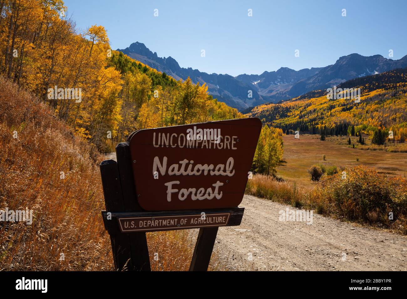 Uncompahgre National Forest sin with aspens in autumn, County Road 7, Sneffels Range, San Juan Mountains, Colorado Stock Photo
