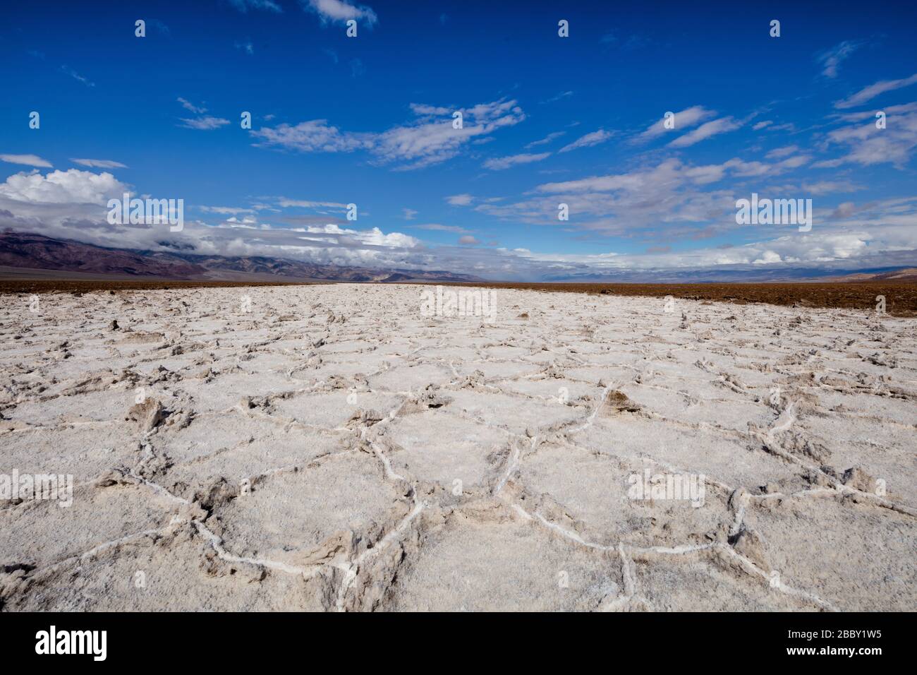 Polygon patterns, Badwater Basin, Death Valley National Park, California Stock Photo