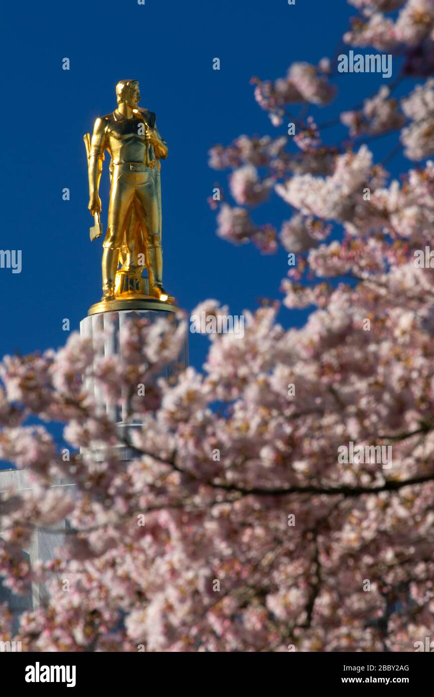 Oregon pioneer statue with cherry blossoms, State Capitol State Park ...