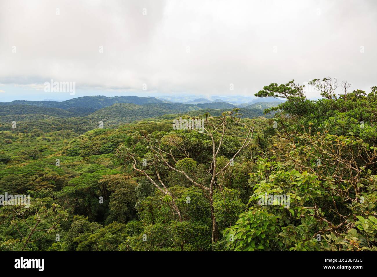 View from the lookout over the forest canopy at the Santa Elena Cloud Forest Reserve in Monteverde, Costa Rica. Stock Photo
